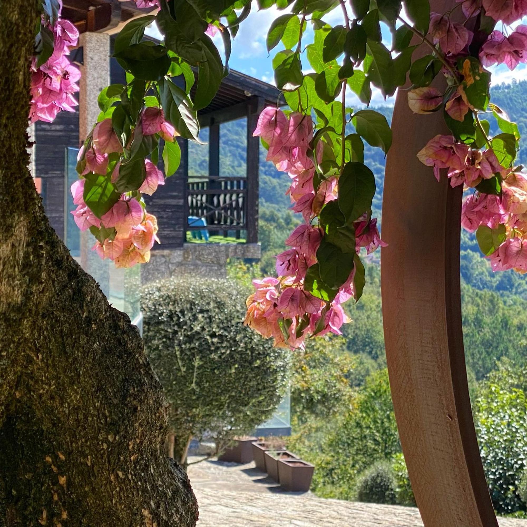 Quinta Cercas Da Costa Villa Vieira do Minho Dış mekan fotoğraf