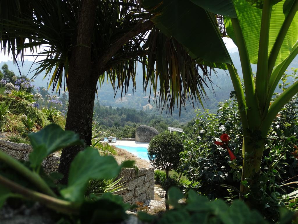 Quinta Cercas Da Costa Villa Vieira do Minho Oda fotoğraf